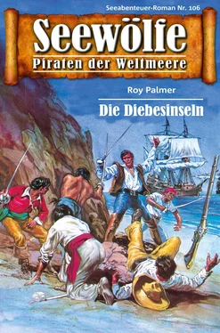 Roy Palmer Seewölfe - Piraten der Weltmeere 106 обложка книги