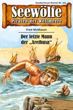 Fred McMason Seewölfe - Piraten der Weltmeere 265 обложка книги