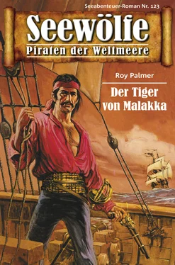 Roy Palmer Seewölfe - Piraten der Weltmeere 123 обложка книги