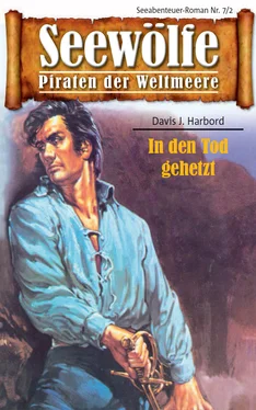 Davis J. Harbord Seewölfe - Piraten der Weltmeere 7/II обложка книги