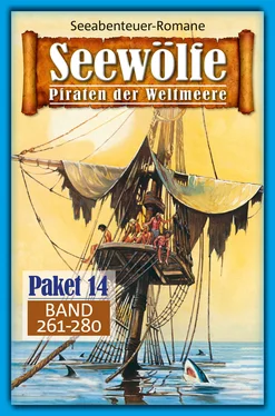 Roy Palmer Seewölfe Paket 14 обложка книги