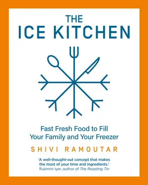 Shivi Ramoutar The Ice Kitchen обложка книги
