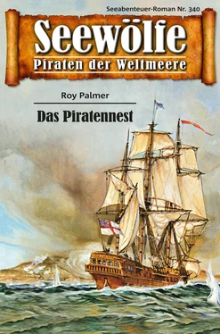 Roy Palmer Seewölfe - Piraten der Weltmeere 340 обложка книги