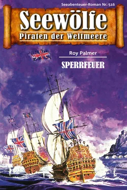 Roy Palmer Seewölfe - Piraten der Weltmeere 516 обложка книги