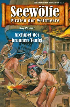 Roy Palmer Seewölfe - Piraten der Weltmeere 222 обложка книги