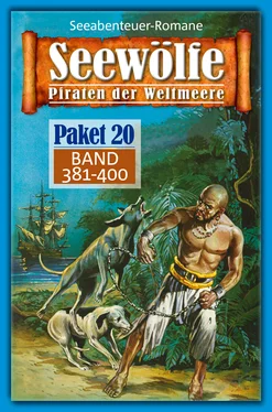 Roy Palmer Seewölfe Paket 20 обложка книги