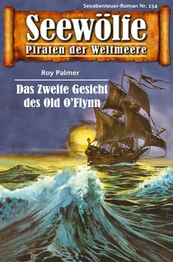 Roy Palmer Seewölfe - Piraten der Weltmeere 154 обложка книги