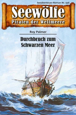 Roy Palmer Seewölfe - Piraten der Weltmeere 556 обложка книги