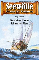 Roy Palmer - Seewölfe - Piraten der Weltmeere 556