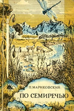 Павел Мариковский По Семиречью обложка книги