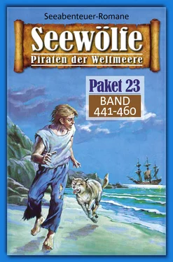 Roy Palmer Seewölfe Paket 23 обложка книги