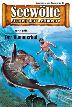 John Brix Seewölfe - Piraten der Weltmeere 67 обложка книги