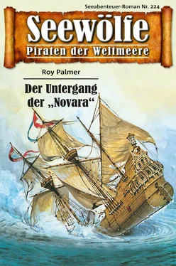 Roy Palmer Seewölfe - Piraten der Weltmeere 224 обложка книги