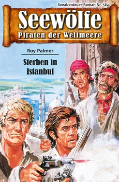 Roy Palmer Seewölfe - Piraten der Weltmeere 562 обложка книги