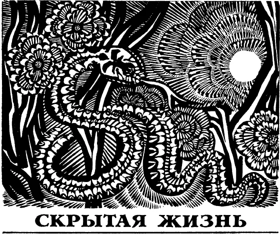 Ноев ковчег Яркое зеленое пятно среди светложелтой и выгоревшей на солнце - фото 8