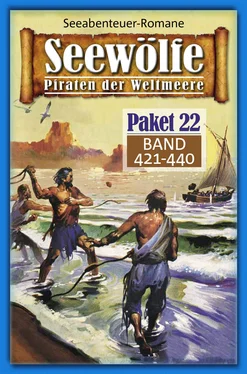 Roy Palmer Seewölfe Paket 22 обложка книги