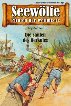 Roy Palmer Seewölfe - Piraten der Weltmeere 234 обложка книги