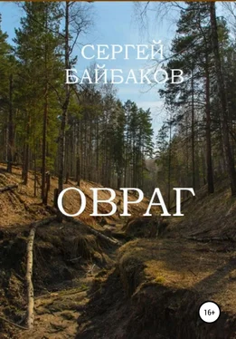 Сергей Байбаков Овраг обложка книги