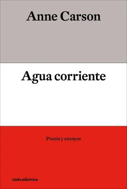 Anne Carson Agua corriente обложка книги