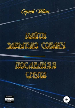 Сергей Ивин Найти зарытую собаку обложка книги