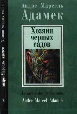 Андре-Марсель Адамек Хозяин черных садов обложка книги