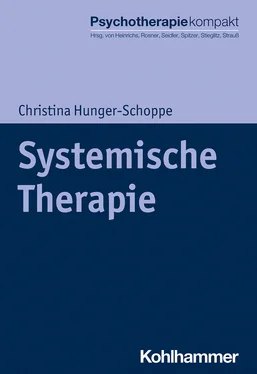 Christina Hunger-Schoppe Systemische Therapie обложка книги