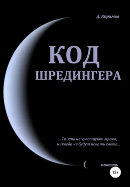 Данияр Каримов Код Шредингера обложка книги