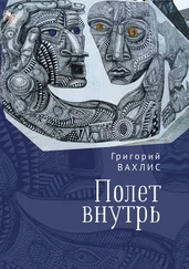 Григорий Вахлис - Полет внутрь