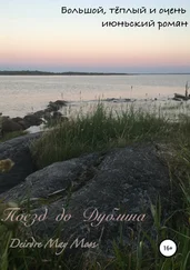 Deirdre Moss - Поезд до Дублина