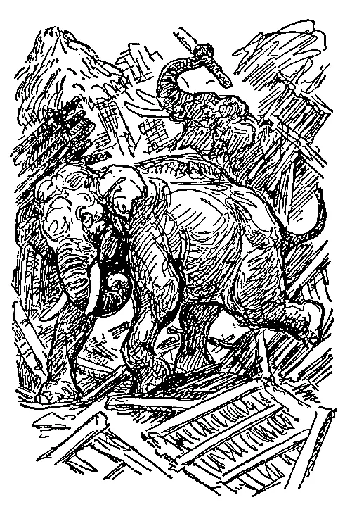 Он исчез и опять послышался грохот а за грохотом визг Хатхи срывал кровли с - фото 17