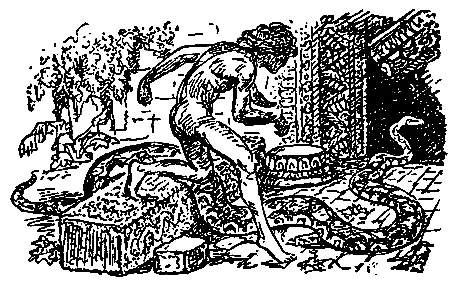 КНЯЖЕСКИЙ АНКАС Каа большой горный удав переменил кожу верно в двухсотый - фото 19