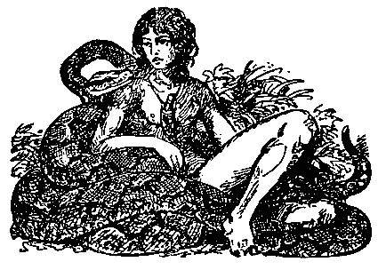 ДИКИЕ СОБАКИ Приятное время жизни началось для Маугли после того как он - фото 22