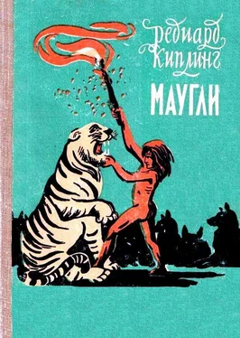 Редьярд Киплинг Маугли (Художник В. Ватагин)