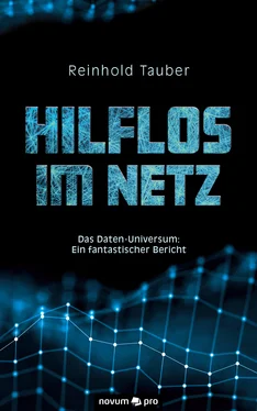 Reinhold Tauber Hilflos im Netz обложка книги