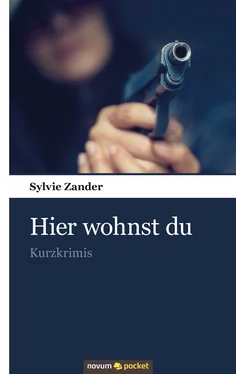 Sylvie Zander Hier wohnst du обложка книги