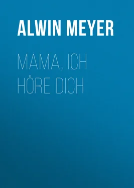 Alwin Meyer Mama, ich höre dich обложка книги