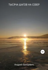 Андрей Бонцевич - Тысяча шагов на север