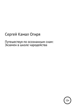 Сергей Камал Огиря Путешествуя по осознанным снам: Экзамен в школе чародейства обложка книги