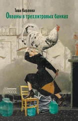 Таша Карлюка - Океаны в трехлитровых банках