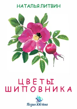 Наталья Литвин Цветы шиповника обложка книги