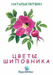 Наталья Литвин - Цветы шиповника