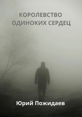 Юрий Пожидаев Королевство одиноких сердец обложка книги