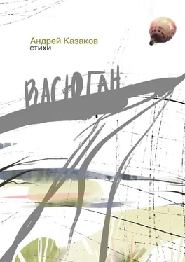 Андрей Казаков Васюган. Стихи обложка книги