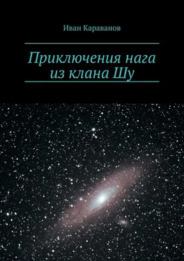 Иван Караванов Приключения нага из клана Шу обложка книги