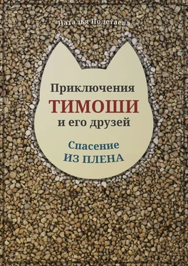 Наталья Полетаева Приключения Тимоши и его друзей. Спасение из плена обложка книги