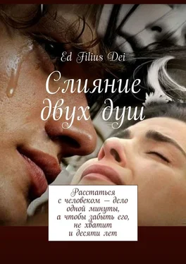 Ed Filius dei Слияние двух душ обложка книги