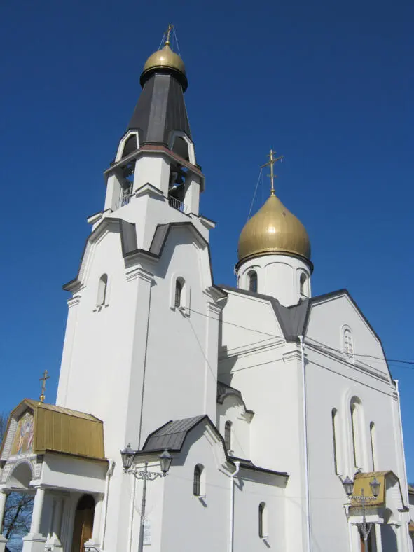Подойдём ближе Глава 5 Военная слава Сестрорецка Время шло менялся и - фото 19
