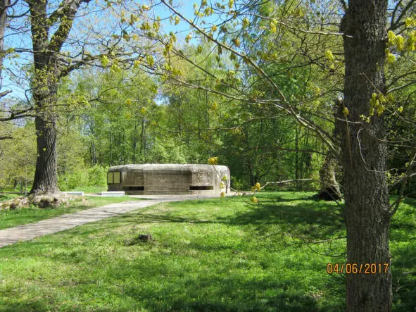 Дот на Дубковском мысу в парке Дальние Дубки оставшийся со времён войны - фото 53