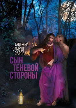 Анджей Сарва Сын теневой стороны обложка книги