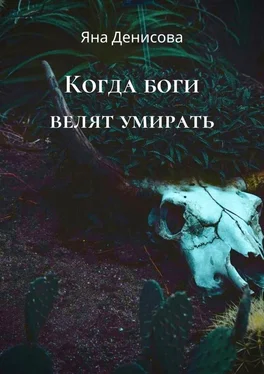 Яна Денисова Когда боги велят умирать обложка книги